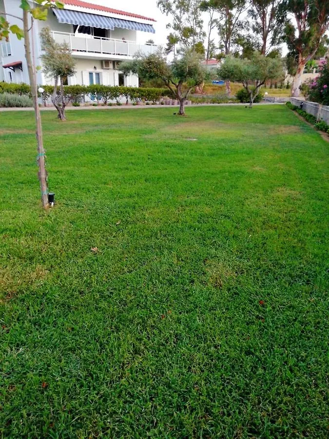 Aloni Studios And Apartments Lassi  Lassi (Kefalonia)